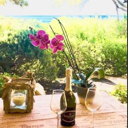 Bed & Breakfast Honey Moon - Guests