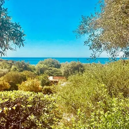 Honey Moon - Guests Bed & Breakfast